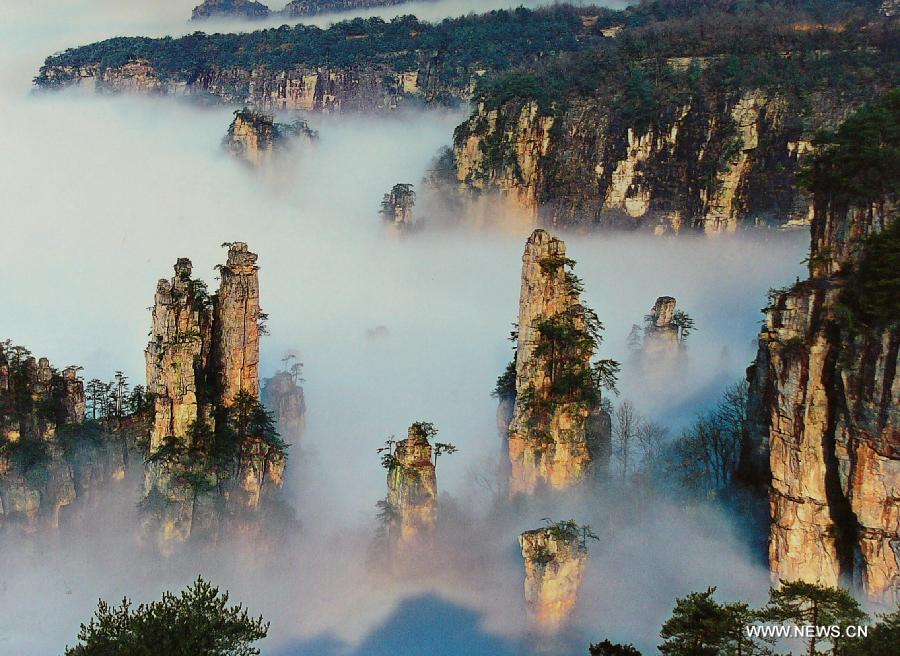 Photo taken on May 2, 2008 shows the scenery of the National Forest Park in Zhang Jiajie, central China's Hunan Province. China's Arbor Day, or Planting Trees Day, which falls on March 12 each year, is an annual compaign to encourage citizens to plant and care for trees. (Xinhua/Yang Hua)