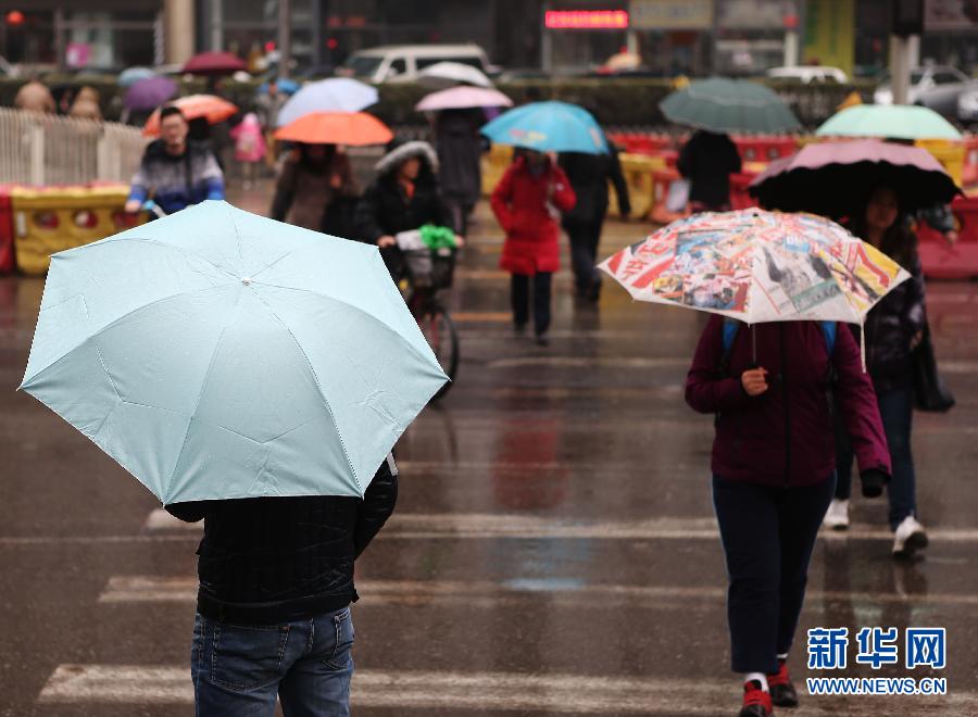 Beijing receives the first rainfall of the year, after weeks of haze, dust and drought, March 12, 2013. (Photo/Xinhua)