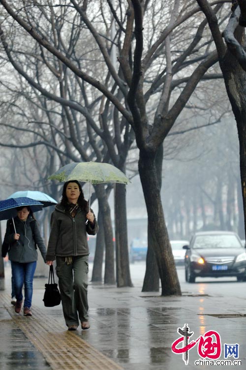 Beijing receives the first rainfall of the year, after weeks of haze, dust and drought, March 12, 2013. (Photo/China.com.cn)