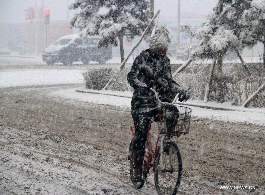 A citizen rides a bike in snow in Pingquan County in north China's Hebei Province, March 12, 2013. Affected by a cold front, the northern part of Hebei received snowfall on Tuesday. (Xinhua/Wang Xiao)