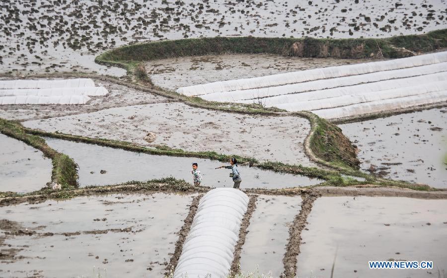 Photo taken on March 10, 2013 shows fields in Qilin Township of Xingwen County, southwest China's Sichuan Province. Farmers have prepared to begin spring ploughing in Sichuan Province. (Xinhua/Jiang Hongjing)