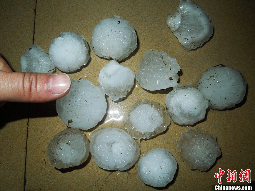 The most severe hail for centuries hits Guiding county in southwest China's Guizhou province on March 12, 2013. It has caused a direct economic loss of 14.73 million yuan. The strong hail lasted for about 30 minutes. The hailstones measured between 3 and 4 centimeters in diameter, with the biggest ones being 7 centimeters. Five villages were affected, with houses, crops, living facilities, forests damaged in varying degrees. (Chinanews/Chen Guangfei)