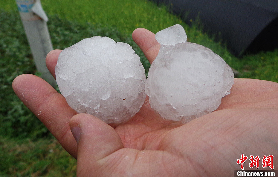 The most severe hail for centuries hits Guiding county in southwest China's Guizhou province on March 12, 2013. It has caused a direct economic loss of 14.73 million yuan. The strong hail lasted for about 30 minutes. The hailstones measured between 3 and 4 centimeters in diameter, with the biggest ones being 7 centimeters. Five villages were affected, with houses, crops, living facilities, forests damaged in varying degrees. (Chinanews/Chen Guangfei)