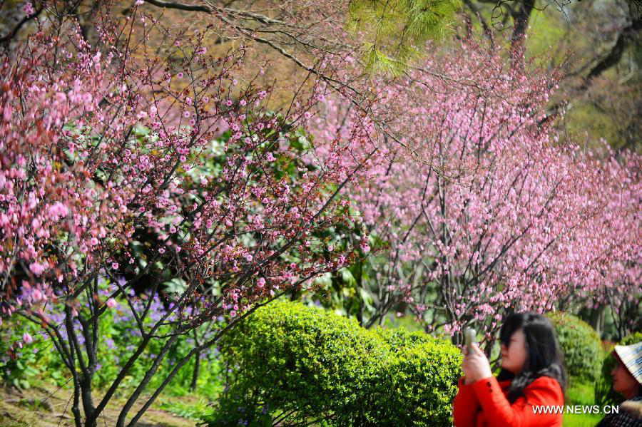 A visitor takes photo along the Slender West Lake in Yangzhou, east China's Jiangsu Province, March 14, 2013. (Xinhua/Meng Delong) 