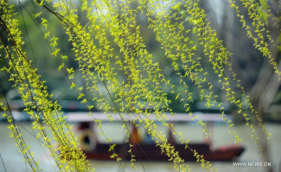 Photo taken on March 14, 2013 shows the spring scenery of the Slender West Lake in Yangzhou, east China's Jiangsu Province. (Xinhua/Meng Delong) 