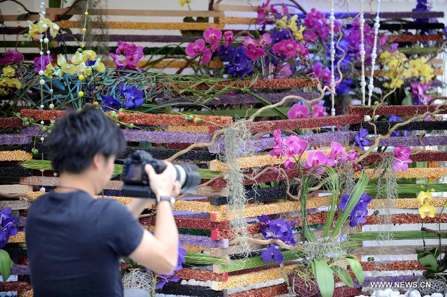 A visitor takes pictures of orchid displayed at a flower show in south China's Hong Kong, March 14, 2013. The 10-day Hong Kong Flower Show 2013, which will kick off on March 15, 2013 at Victoria Park, opened to media for a preview on Thursday. More than 200 organizations contributed some 350,000 flowers to the show. (Xinhua/Zhao Yusi) 