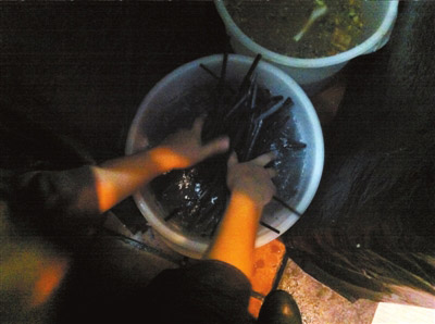 Chopsticks are roughly washed with water before reusing in Yoshinoya’s restaurant located in Dongzhimen, Chaoyang district. In the dishwashing room, chopsticks are soaked in a plastic drum near a sewage bin. Leftover soup in the sewage bin can easily splash into the plastic drum which contains the chopsticks (Beijing Times)