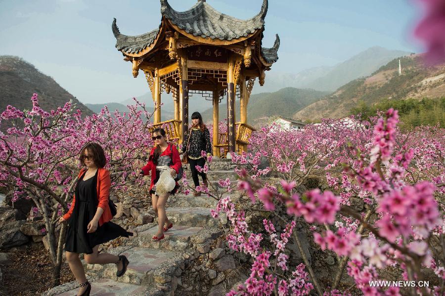 Tourists enjoy their tour amid peach blossoms in Shuangxi Township of Hanyuan County, southwest China's Sichuan Province, March 15, 2013. (Xinhua/Jiang Hongjing)