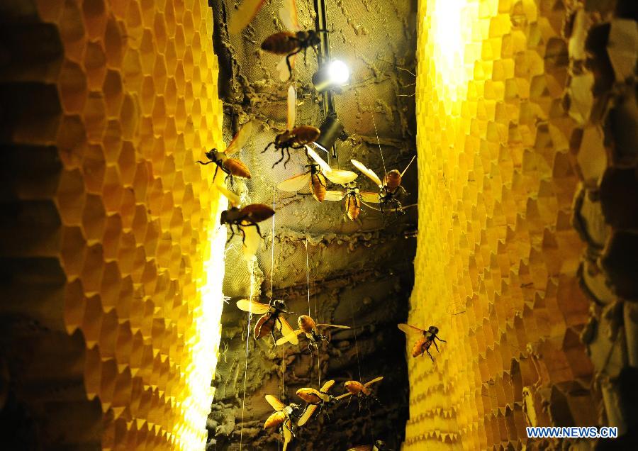 A giant honeybomb model is seen displayed in Huaxia Bee Museum in Leshan, southwest China's Sichuan Province, March 15, 2013. Huaxia Bee Museum that opened here on Friday, is the largest museum focusing on bee and honey with 50 bee specimen and 150 plant specimen. (Xinhua/Li Hualiang)  