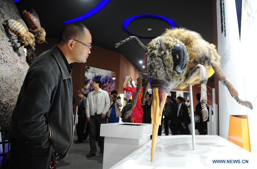 People visit Huaxia Bee Museum in Leshan, southwest China's Sichuan Province, March 15, 2013. Huaxia Bee Museum that opened here on Friday, is the largest museum focusing on bee and honey with 50 bee specimen and 150 plant specimen. (Xinhua/Li Hualiang)  