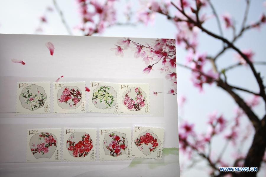 Photo taken on March 16, 2013 shows the "peach blossom" stamps in Jinyun County, east China's Zhejiang Province. China Post published a set of "peach blossom" stamps on Saturday. (Xinhua/Xu Xiaofeng) 