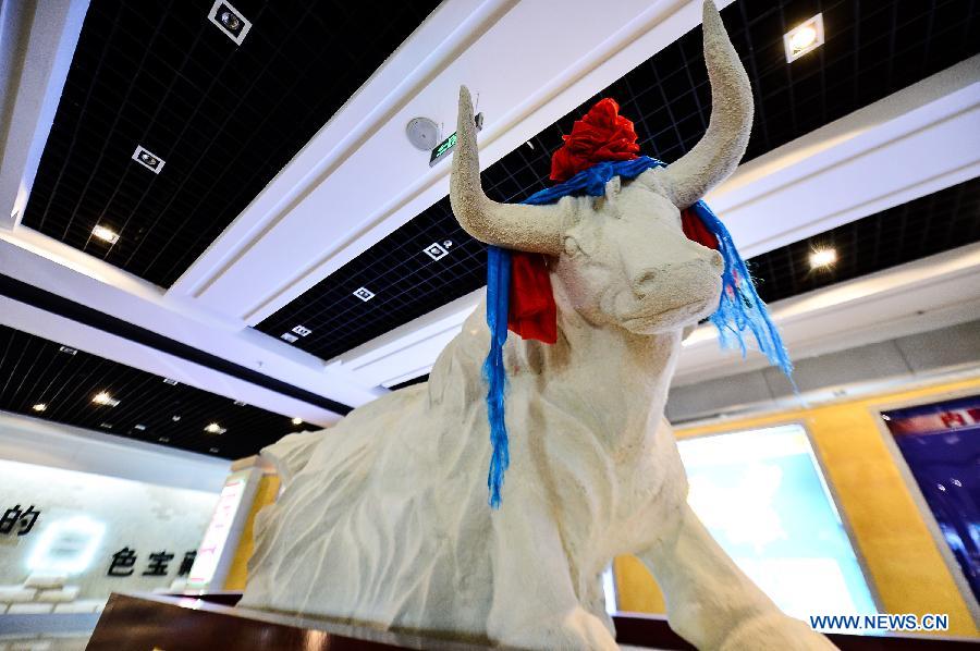 A yak made from crystallized sodium chloride is displayed at the Qarhan Salt Lake Museum in Golmud, northwest China's Qinghai Province, March 15, 2013. The Qarhan salt lake, with a total area of 5,856 square kilometers, is the largest salt lake in China. The lake's abundant deposit of halide salts makes it a major mineral center. (Xinhua/Wu Gang) 