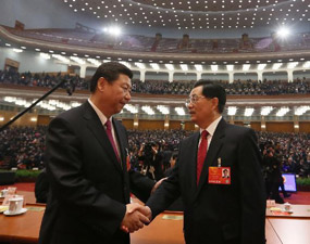 Xi vows to press ahead with 'Chinese dream'
