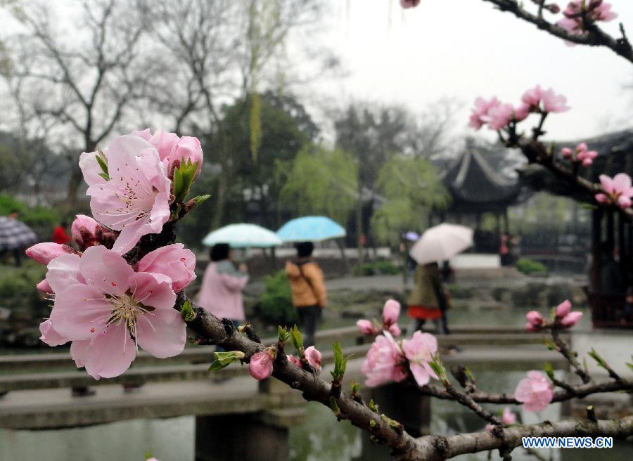 People enjoy early spring scenery in rain at Zhuozheng Garden (Humble Administrator's Garden) in Suzhou, east China's Jiangsu Province, March 17, 2013. (Xinhua/Wang Jiankang)