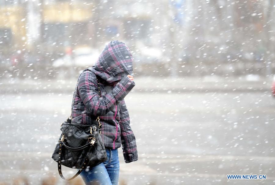 A citizen braves snow on a road in Harbin, capital of northeast China's Heilongjiang Province, March 18, 2013. A cold front brings snow and low temperature to Harbin on March 18. (Xinhua/Wang Song)  