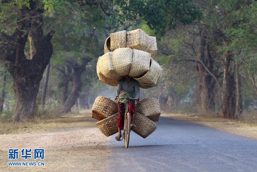 A woman cycles as she carries baskets to sell in a market near Lapdaung mountain in Sarlingyi township on March 13, 2013. (Xinhua/Reuters)
