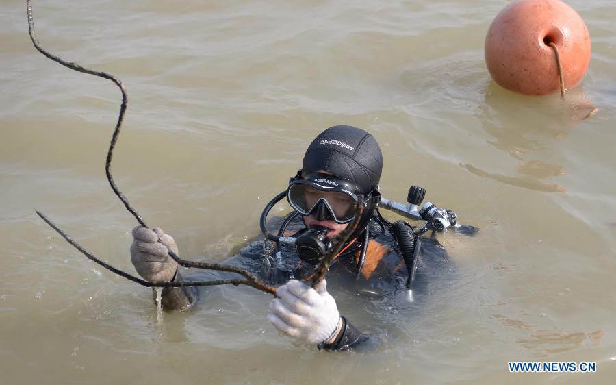 A frogman returns from a diving in the Laoyemiao water area of the Poyang Lake, east China's Jiangxi Province, March 18, 2013. Archaeologists discovered a sunk ship in the Laoyemiao area of the Poyang Lake, China's largest freshwater lake on Monday. The Laoyemiao area in the lake is often referred to as "China's Bermuda Triangle" because of the large number of boats that sank mysteriously in the area over the years. (Xinhua/Zhou Mi)