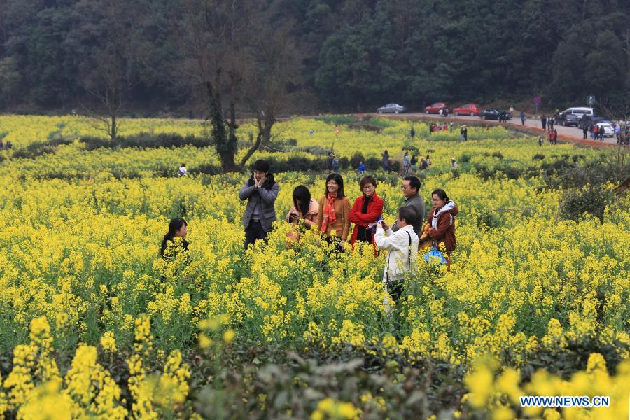 Tourists take photos in a rape flower field in Jianling Township of Wuyuan County, east China's Jiangxi Province, March 16, 2013. (Xinhua/Shi Guangde)