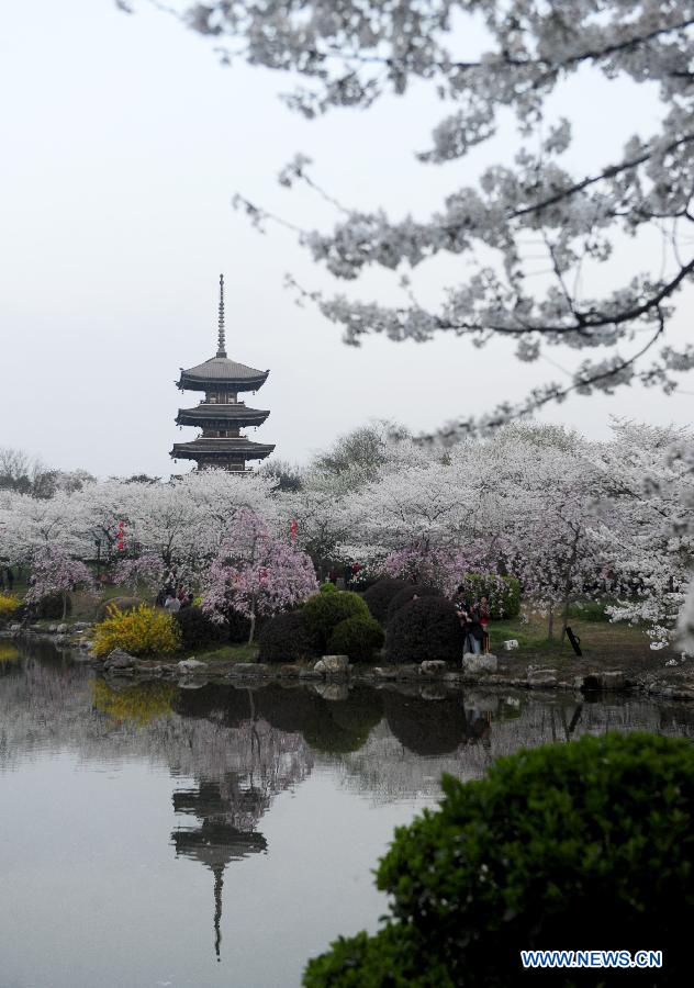 A pagoda is seen amid cherry blossoms at the Moshan scenic spot in Wuhan, capital of central China's Hubei Province, March 18, 2013. As weather warms up, cherry blossoms in Wuhan are in full bloom. (Xinhua/Hao Tongqian)