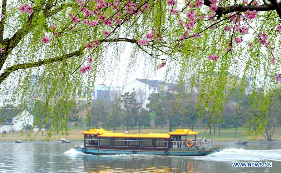 Photo taken on March 17, 2013 shows flowers beside a river in Suzhou, east China's Jiangsu Province. Various flowers are in full blossom as spring comes. (Xinhua/Wang Jianzhong)