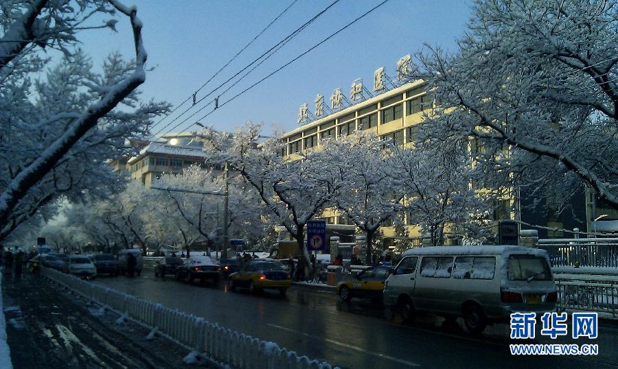 Buildings and streets are covered by thick snow, Beijing, March 20, 2013. A cold front brought rain and heavy snow to most parts of Beijing on Tuesday and temperature dropped dramatically below freezing at night, a sharp contrast to Monday which experienced a warm and comfortable early spring day. (Photo/Xinhua)