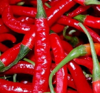 Red Pepper (xinhuanet.com)