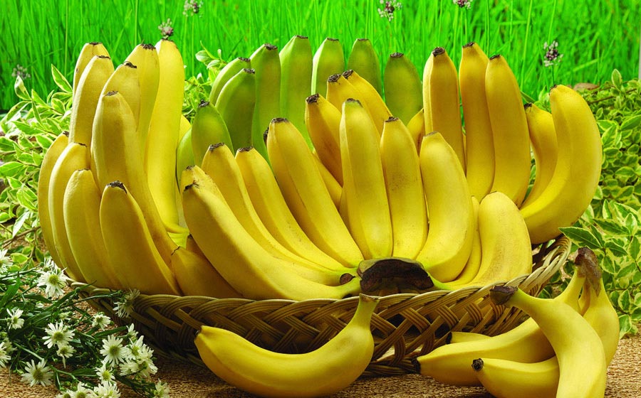 Banana (xinhuanet.com)