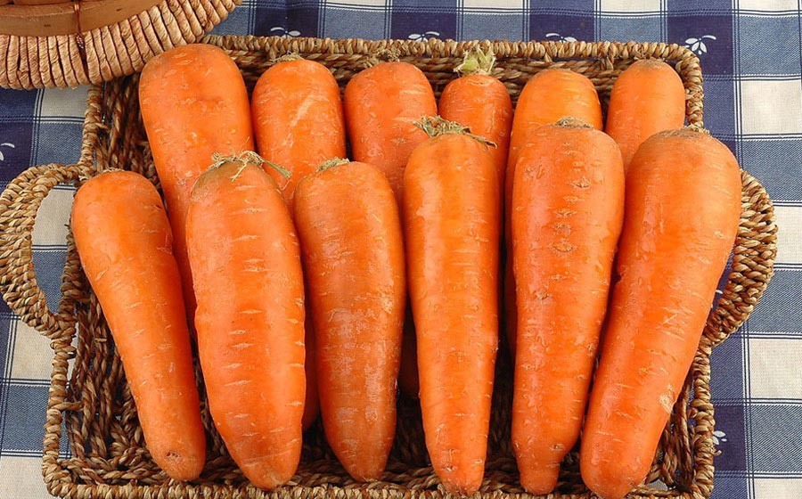 Carrot (xinhuanet.com)