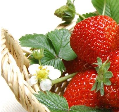 Strawberry (xinhuanet.com)