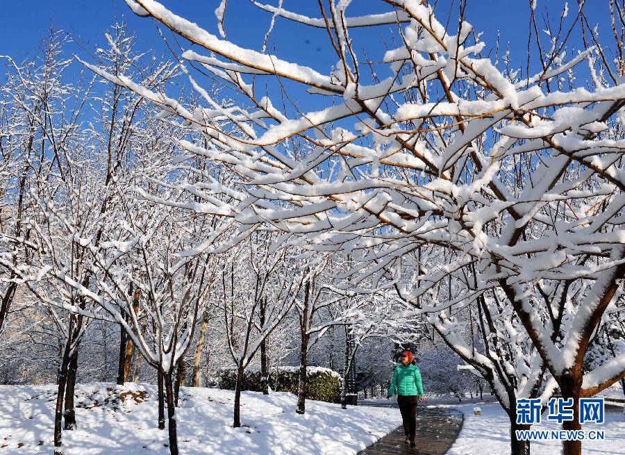 Buildings and streets are covered by thick snow, Beijing, March 20, 2013. A cold front brought rain and heavy snow to most parts of Beijing on Tuesday and temperature dropped dramatically below freezing at night, a sharp contrast to Monday which experienced a warm and comfortable early spring day. (Photo/Xinhua)