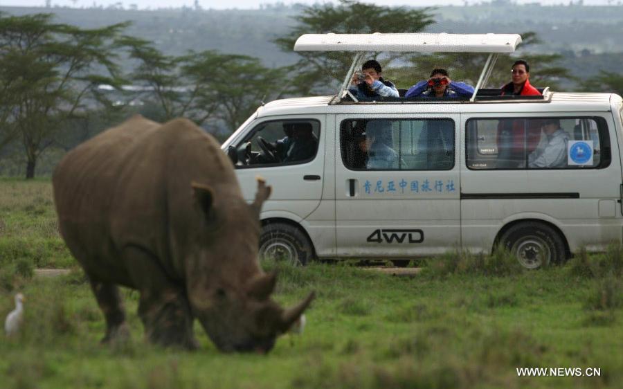 Chinese tourists watch a rhino at Lake Nakuru National Park, May 2, 2006. Cultural and people-to-people exchanges have been reinforced between China and African countries over past decades, thus deepening mutual understanding and traditional friendship between the two peoples. Chinese President Xi Jinping will visit Tanzania, South Africa and the Republic of Congo later this month and attend the fifth BRICS summit on March 26-27 in Durban, South Africa. (Xinhua/Wang Hongda) 