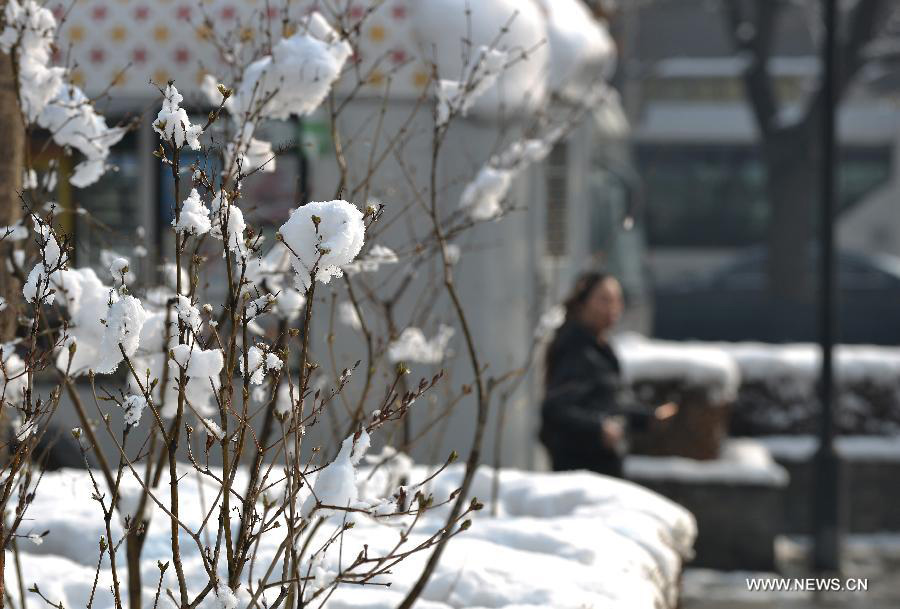 Snow hangs on dry branches as a citizen walks past the Xuanwumen crossroad in Beijing, capital of China, March 20, 2013. Beijing witnessed a snowfall with a depth reaching 10-17 centimeters overnight. The snowfall happened to hit the city on the Chinese traditional calendar date of Chunfen, which heralds the beginning of the spring season. Chunfen, which literally means Spring Equinox or Vernal Equinox, falls on the day when the sun is exactly at the celestial latitude of zero degrees. (Xinhua/Li Xin)