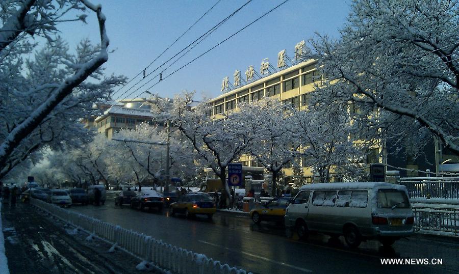 Photo taken with a cell phone on March 20, 2013 shows tree branches covered with snow on Dongdan North Street in Beijing, capital of China. Beijing witnessed a snowfall with a depth reaching 10-17 centimeters overnight. The snowfall happened to hit the city on the Chinese traditional calendar date of Chunfen, which heralds the beginning of the spring season. Chunfen, which literally means Spring Equinox or Vernal Equinox, falls on the day when the sun is exactly at the celestial latitude of zero degrees. (Xinhua/Lai Xiangdong)