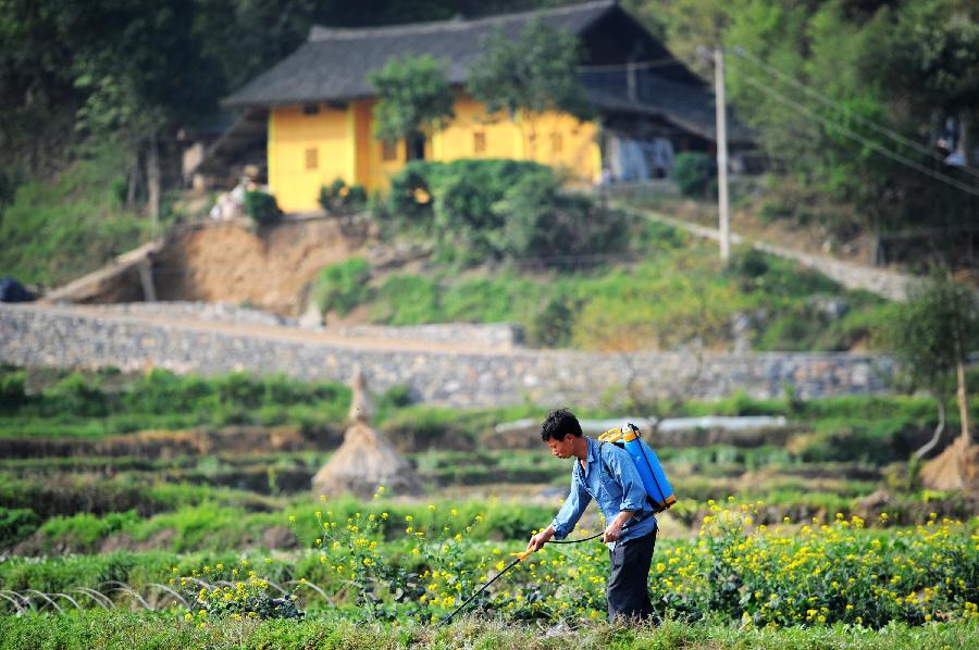  A farmer works in a field at Tonggu Village in Majiang County, southwest China's Guizhou Province, March 21, 2013. (Xinhua/Liu Xu) Spring farming