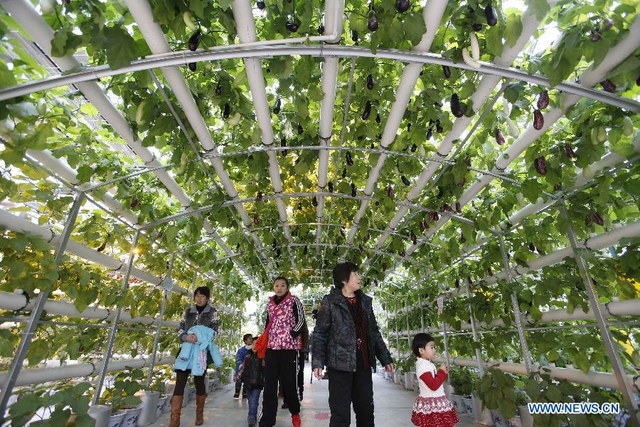 Visitors walk under an eggplant passage during the 1st Agriculture Carnival at the Strawberry Expo Park in Changping District, Beijing, capital of China, March 23, 2013. Opened Saturday, the carnival will continue till May 12, highlighting the latest agricultural science, technologies and creative agricultural projects. (Xinhua/Li Xin) 