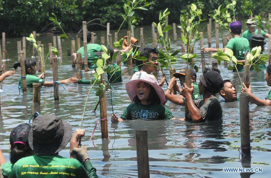 School children and their parents plant mangrove trees to mark the World Water Day in the Natural Park Angke in Jakarta, Indonesia, March 23, 2013. The World Water Day falls on March 22. (Xinhua/Zulkarnain)