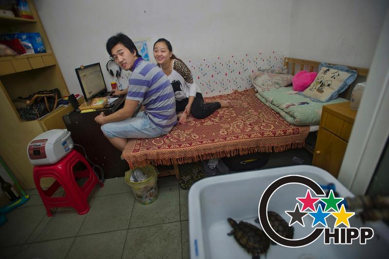 Zhang Lei and his Girlfriend of Room 201 are employees of a company, a pair of turtle in pond is their pets.(Photo by Zhu Xiyong) 