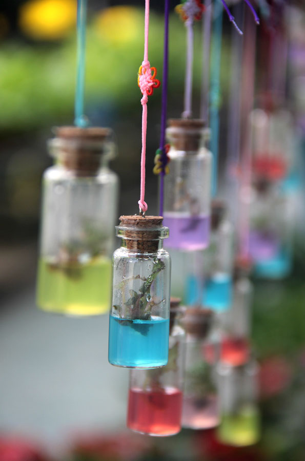 The photo taken on Saturday, March 23, 2013 shows flower seedlings cultivated in wishing bottles displayed in the World Flower Garden in Beijing. The garden houses the largest flower greenhouse in the capital city and gathers hundreds of species from China and abroad. (CRIENGLISH.com/Guo Jing)