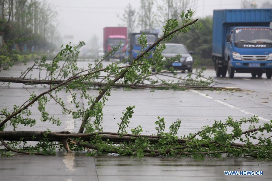 Trees are blown down by strong wind in Liuzhou City, south China's Guangxi Zhuang Autonomous Region, March 28, 2013. Strong wind and thunder hit the city on Thursday. (Xinhua/Zhang Cunli)
