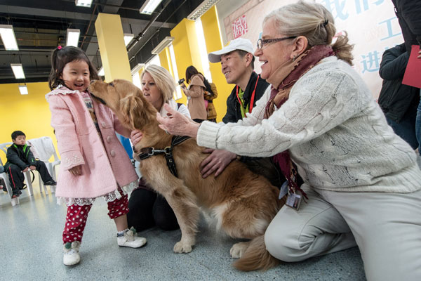 A dog that can provide medical assistance has contact with pupils at Beijing City International School on Thursday. The activity is aimed at helping people understand the importance of dogs working in various fields. (Photo by Zhao Bing/ Xinhua) 