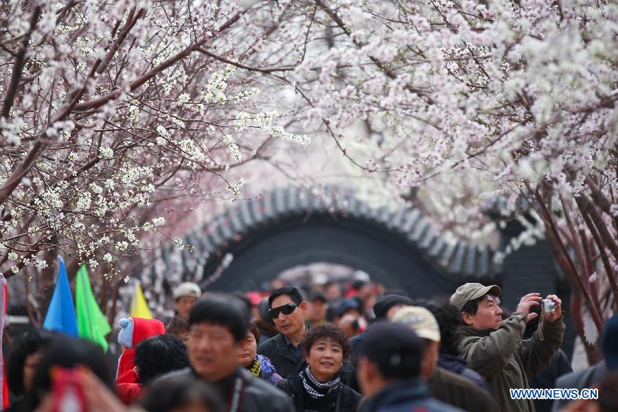 Tourists enjoy the scenery of peach blossoms in Hongqiao District of north China's Tianjin Municipality, March 28, 2013. The seven-day 2013 Tianjin canal peach blossom tourism festival kicked off on Thursday. (Xinhua/Liu Dongyue)
