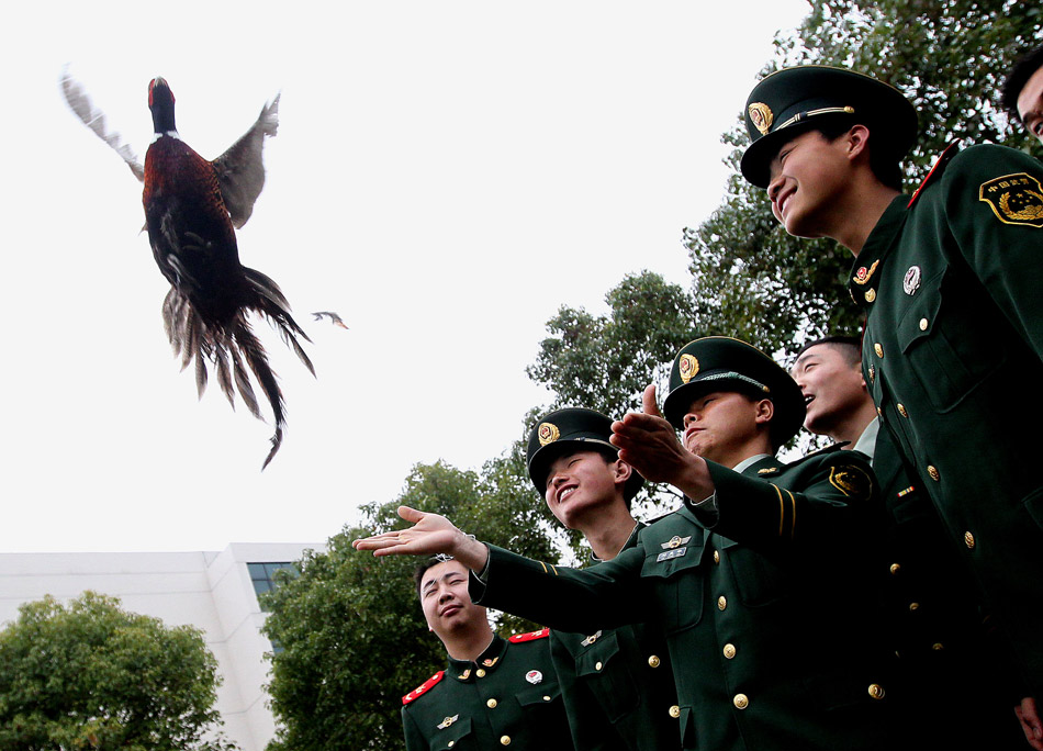 Soldiers on the Chongming Island in Shanghai release a pheasant that healed an injury. (Xinhua/Chen Fei)