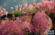 Kunming