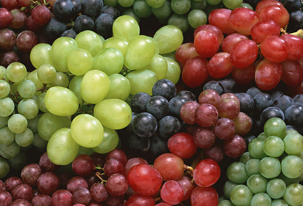 Grape (Photo Source:yangtse.com)