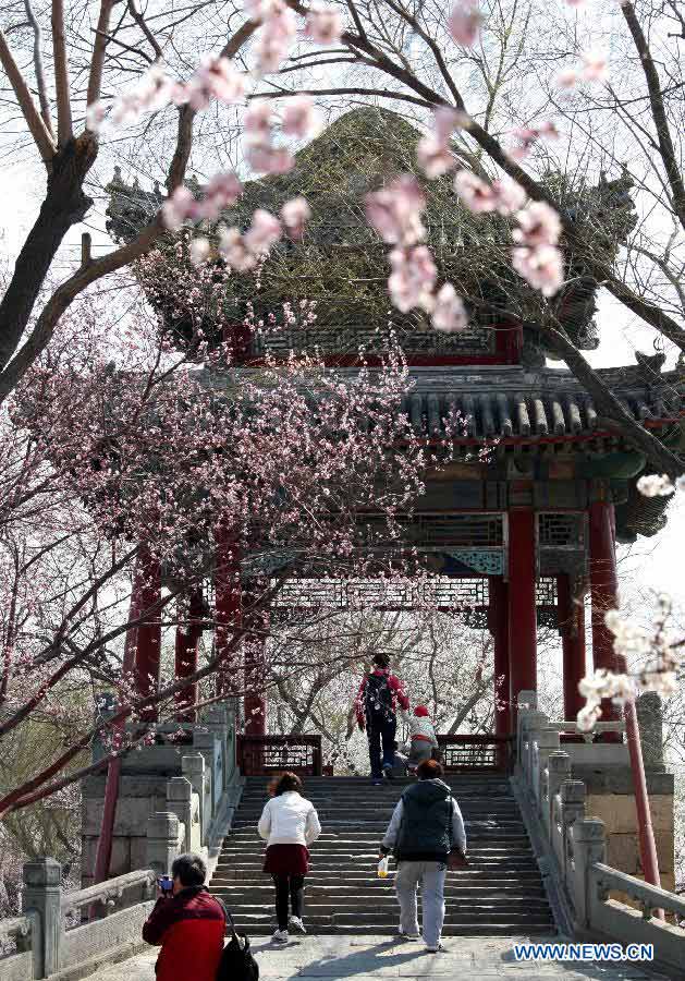 Tourists enjoy peach blossoms in the Summer Palace in Beijing, capital of China, April 1, 2013. (Xinhua/Wang Xibao)