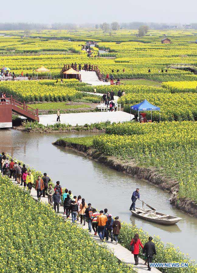 Tourists enjoy cole flowers at the Qiandao Cole Flower Scenic Spot in Ganggu Township of Xinghua City, east China's Jiangsu Province, April 3, 2013. (Xinhua/Zhou Haijun)