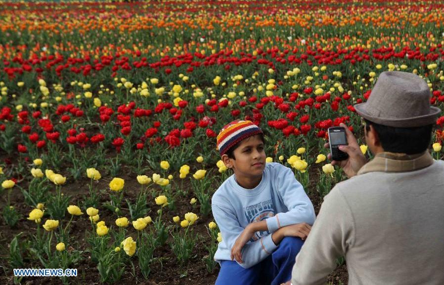 (130403) -- SRINAGAR, April 3, 2013 (Xinhua) -- A tourist takes photographs of his son amid tulips in a tulip garden in Srinagar, summer capital of Indian-controlled Kashmir, April 3, 2013. The Tulip Garden in Indian-controlled Kashmir has become the prime attraction for visiting foreign and domestic tourists, officials said. (Xinhua/Javed Dar) 