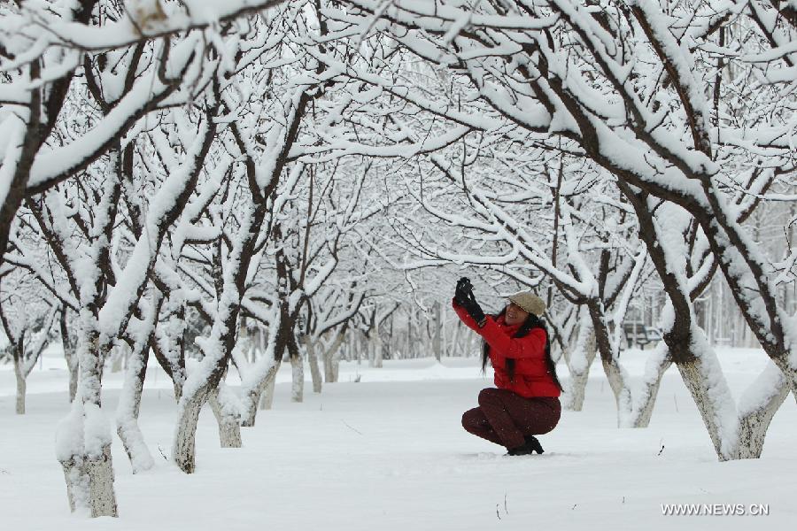 A woman takes pictures of snow-covered trees on a street in Chaoyang City, northeast China's Liaoning Province, April 5, 2013. While many parts of China have entered a blossoming season, Chaoyang experienced a heavy snowfall on Friday. (Xinhua/Qiu Yijun)  
