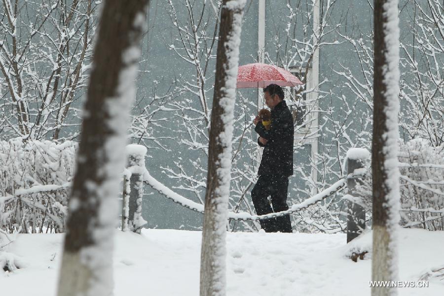 A man walks in snow on a street in Chaoyang City, northeast China's Liaoning Province, April 5, 2013. While many parts of China have entered a blossoming season, Chaoyang experienced a heavy snowfall on Friday. (Xinhua/Qiu Yijun)  