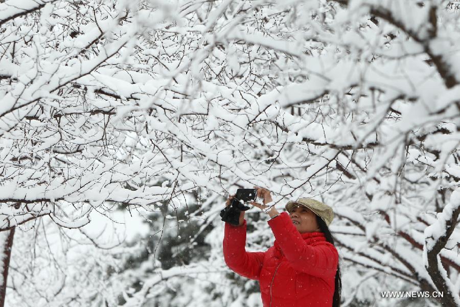 A woman takes pictures of snow-covered trees on a street in Chaoyang City, northeast China's Liaoning Province, April 5, 2013. While many parts of China have entered a blossoming season, Chaoyang experienced a heavy snowfall on Friday. (Xinhua/Qiu Yijun)